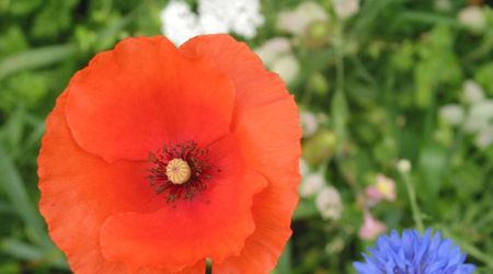 Short Break